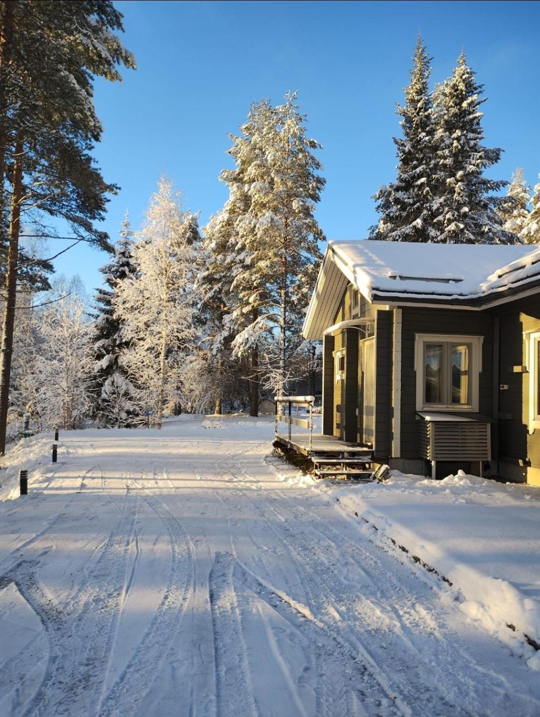 Villa Aleksi With Sauna Rovaniemi Exteriér fotografie